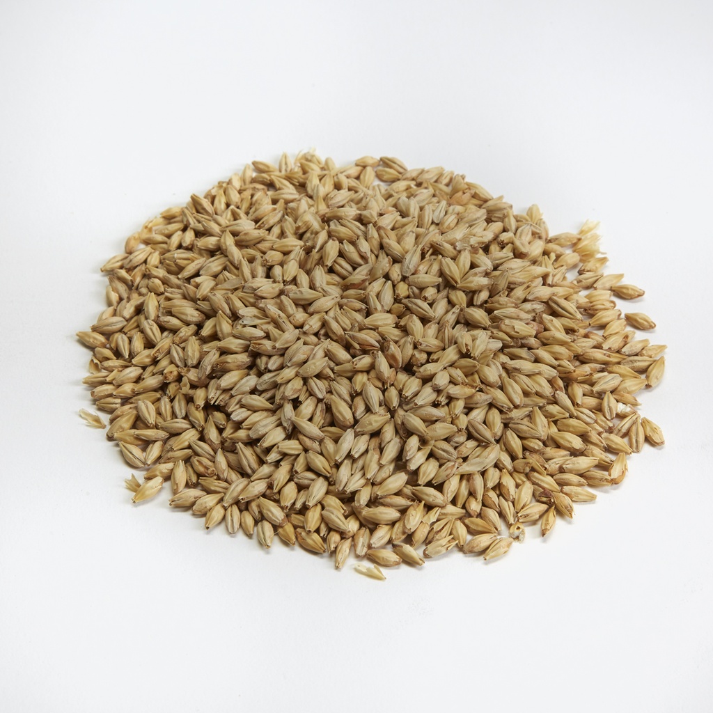 Briess Pale Ale Malt 1 Kg