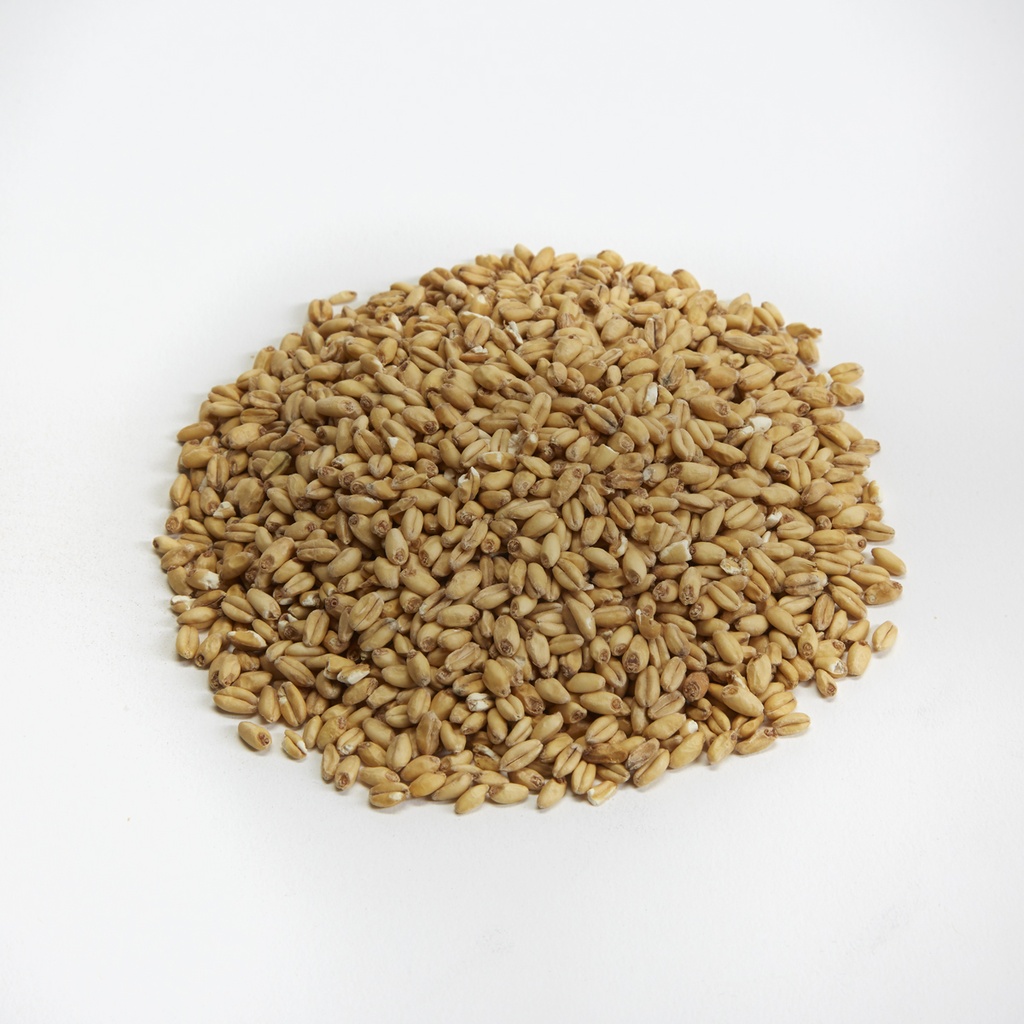 Briess Wheat Malt White 1 Kg