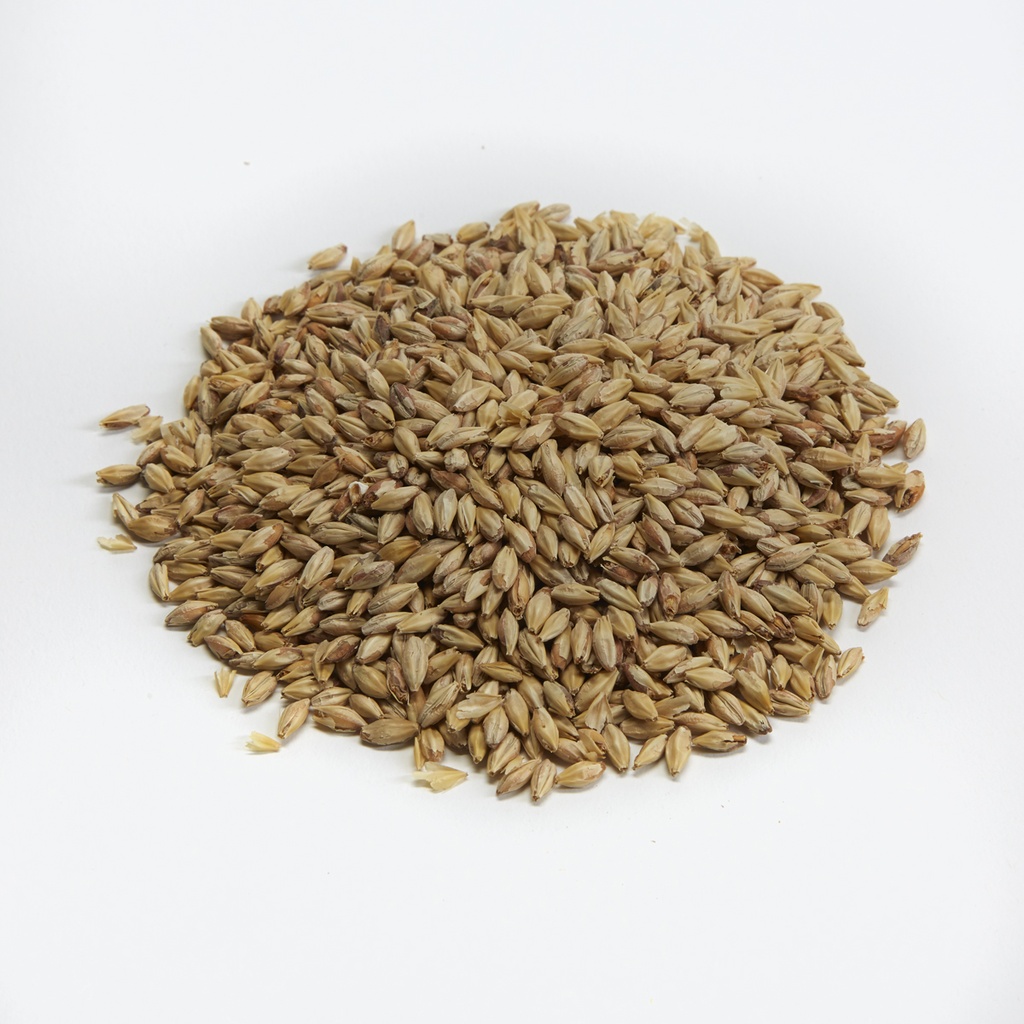 Briess Bonlander Munich Malt 10 L 1 Kg
