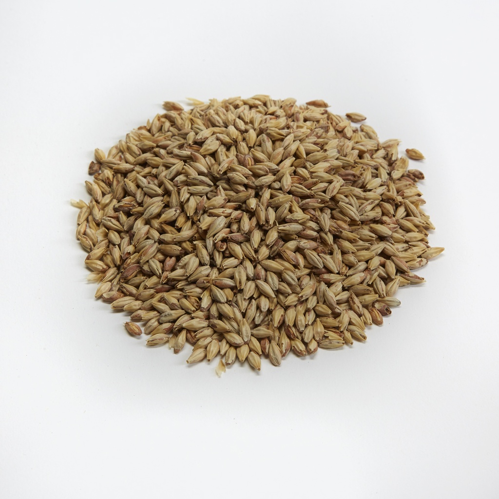 Briess Aromatic Munich Malt 20 L 1 Kg