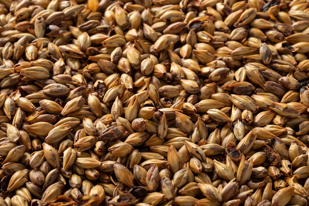 Briess Caramel Malt 90 L 1 Kg