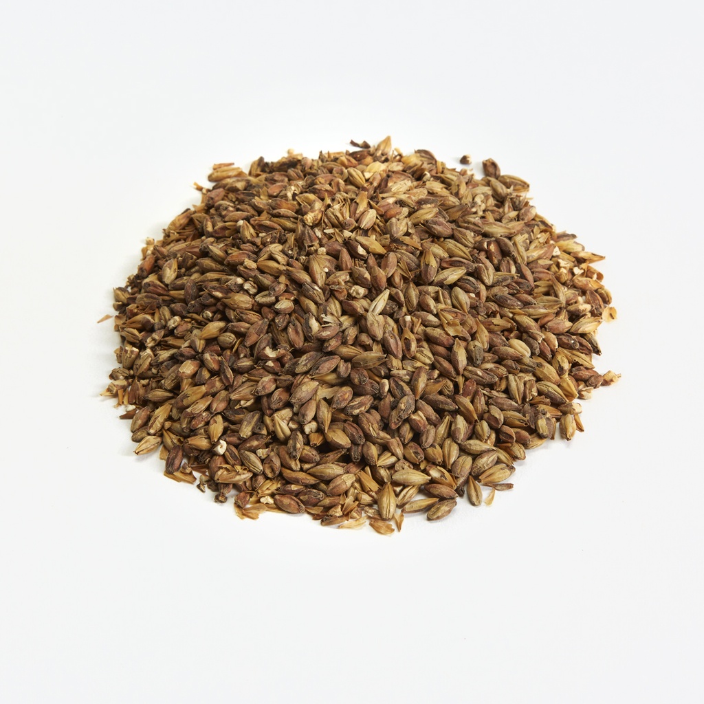 Briess Special Roast Malt 1 Kg