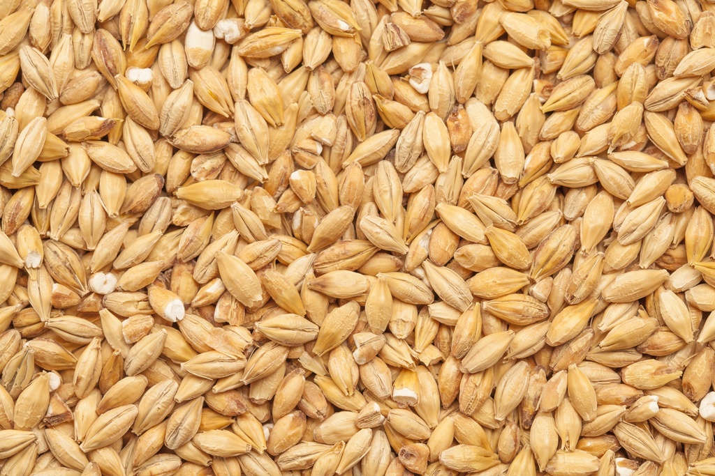 BEST Acidulated Malt 1 Kg