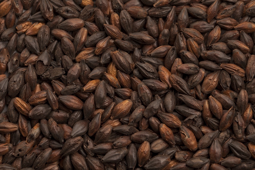 BEST Black Malt 1 Kg