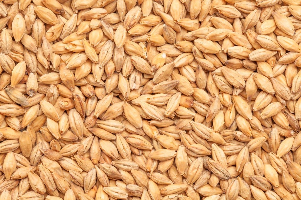 BEST Chit Malt 1 Kg