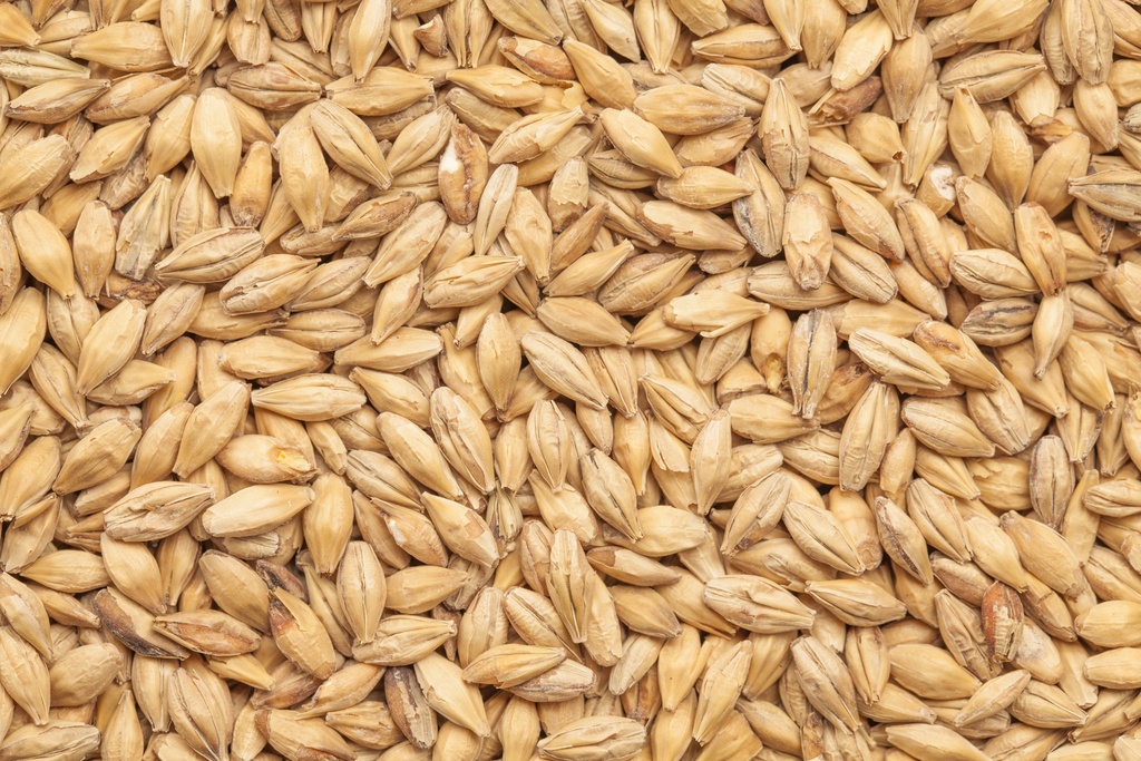 BEST Caramel Pils  1 Kg