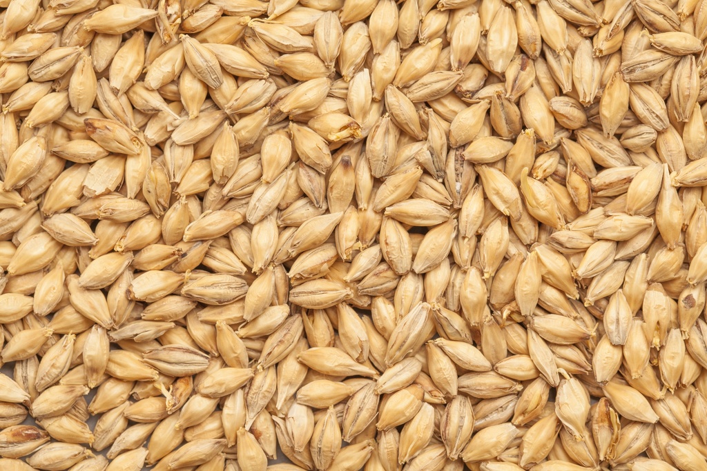 BEST Pilsen Malt 1 Kg