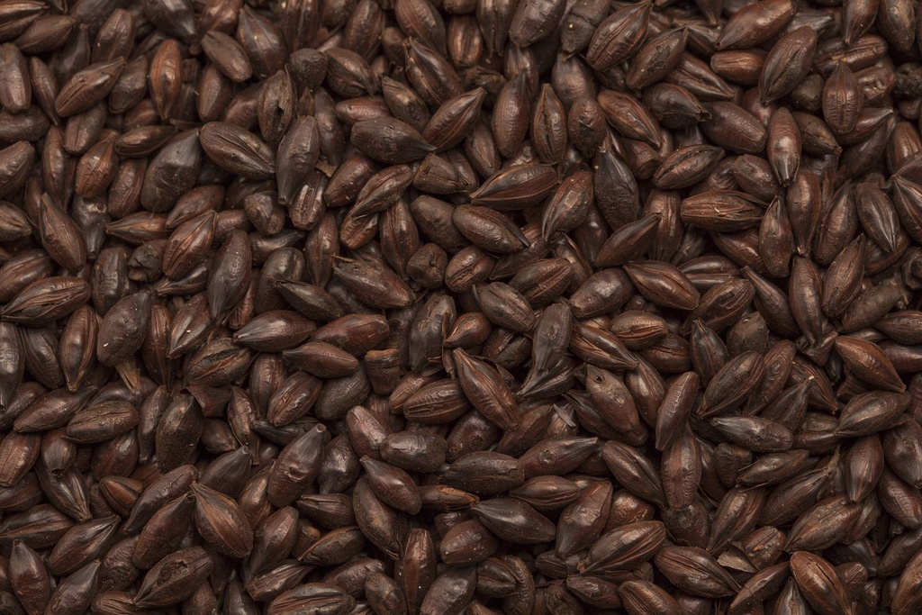 BEST Roasted barley 1 Kg
