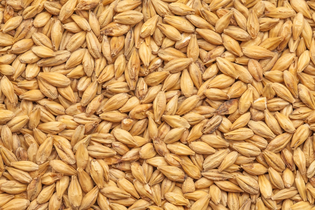 BEST Smoked Malt 1 Kg