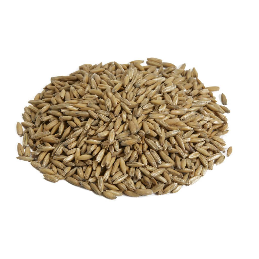 Canada Malting Oat Malt 1 Kg