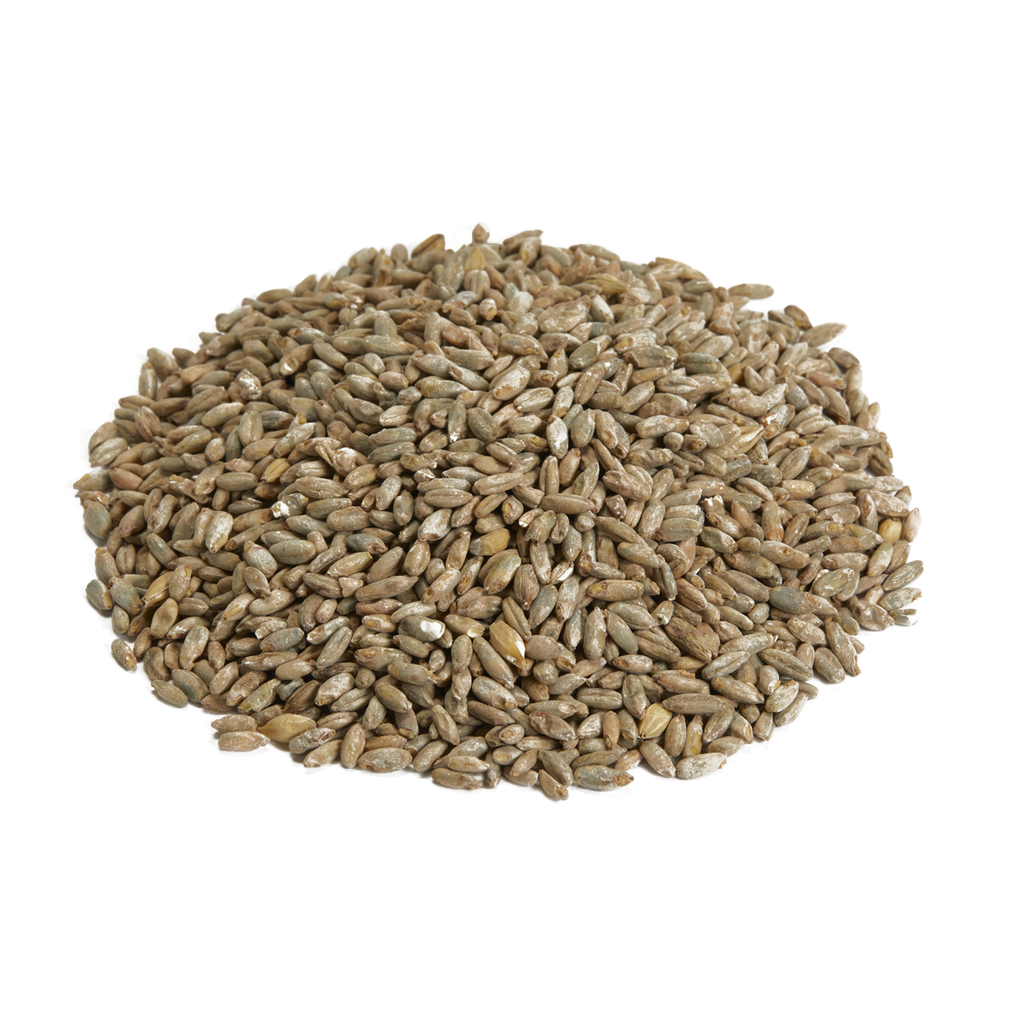 Canada Malting Rye Malt 1 Kg
