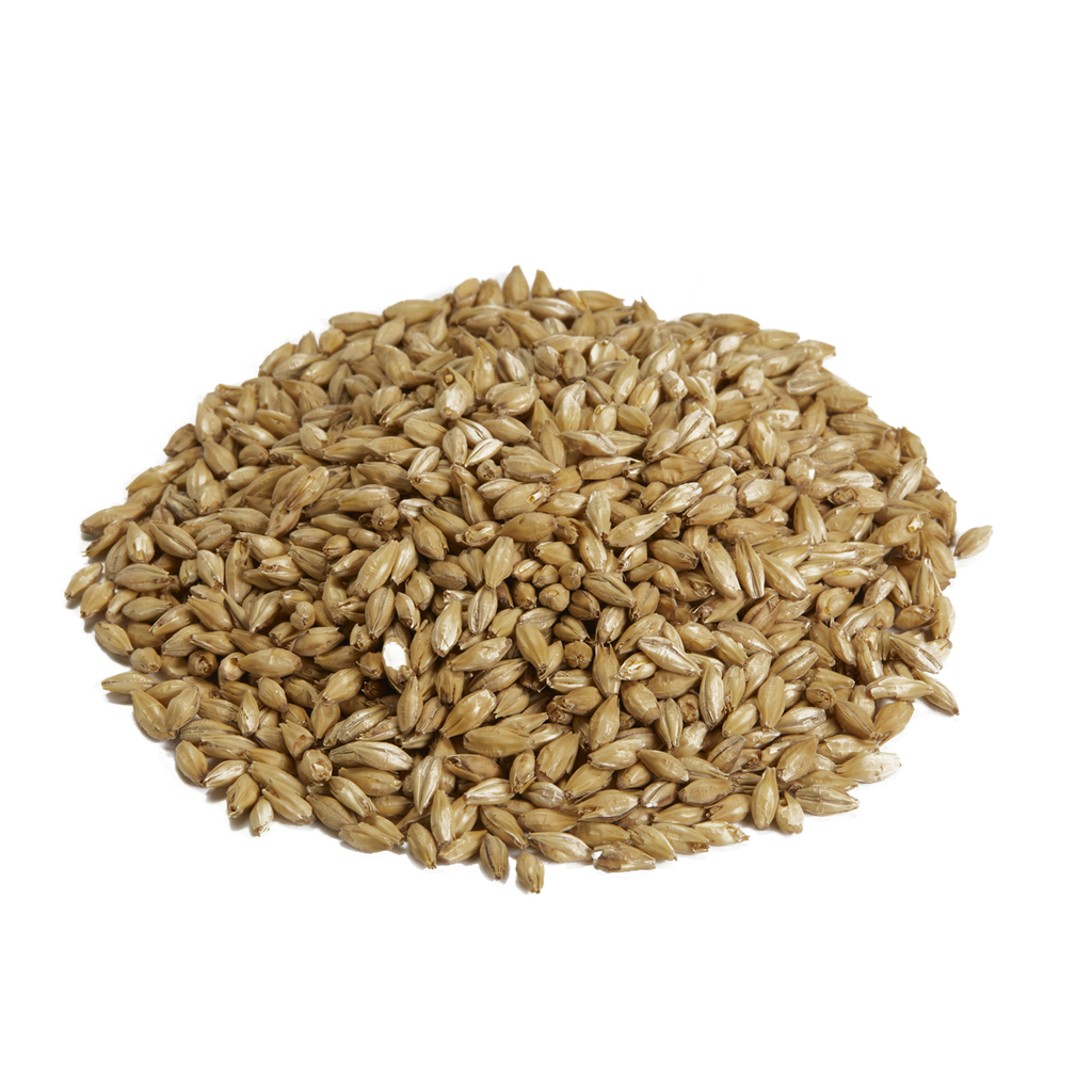Canada Malting Superior Pilsen Malt 1 Kg