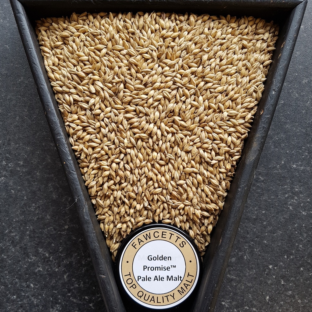 TF&S Golden Promise Pale Ale 1 Kg