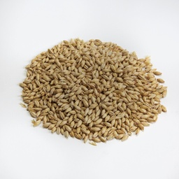 [BM-5301-1KG] Briess Pale Ale Malt 1 Kg